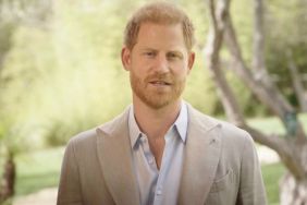 Prince Harry Apparently Shared His Diary With the Royal Family in an Attempt to 'Deconflict' — Report