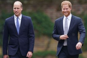 Prince Harry Will Have 'Zero Role' in 'King' William's Monarchy, Says 'Source'