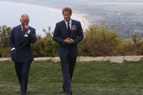 Prince Harry King Charles reconcile