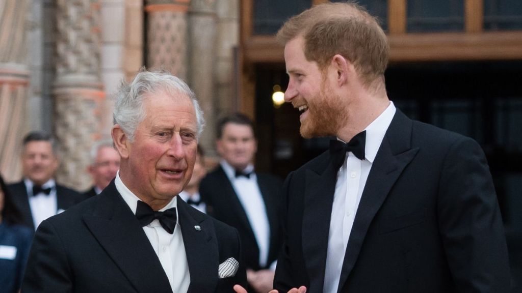 Prince Harry King Charles