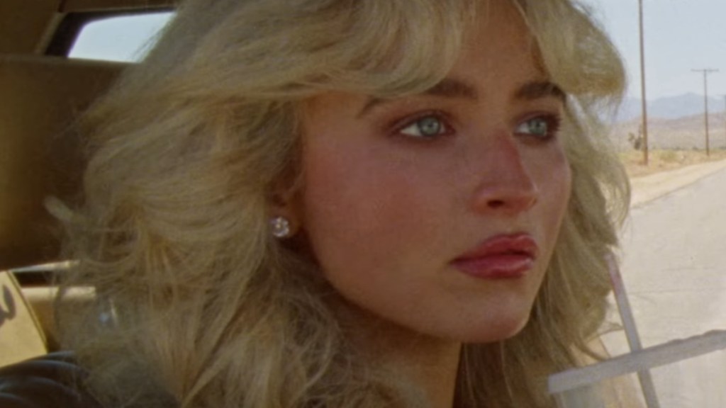 manchild anne hathaway sabrina carpenter