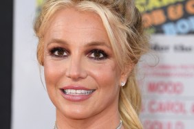 Britney Spears Follows Up Nude Photo With Funny Meme