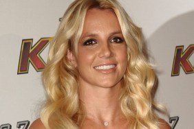 Britney Spears Wears Nothing But Cowboy Boots in New Photo