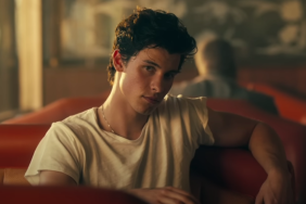 Fans React to Shawn Mendes' Post With Mystery Woman
