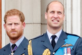 prince william prince harry