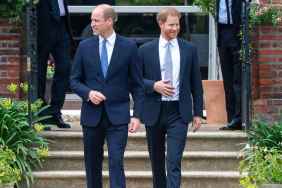 Prince Harry & Prince William’s Rift Can Be Fixed in Just One Way, According to Expert