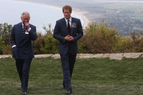 king charles prince harry