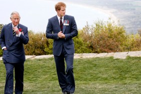 prince harry king charles