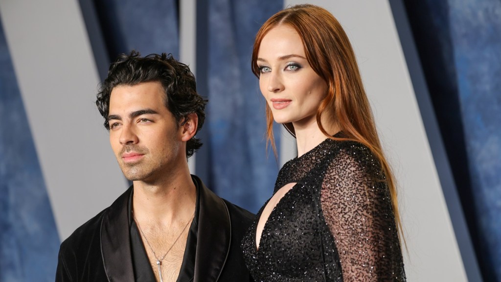 Joe Jonas' Ex Sophie Turner Reminds Everyone That Co-Parenting Exists 