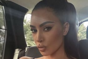 Kim Kardashian Nearly Bares It All Aboard a Flight to Korea