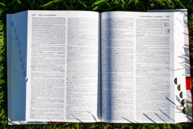 Skibidi, Delulu & Other Internet Slang Added to Cambridge Dictionary