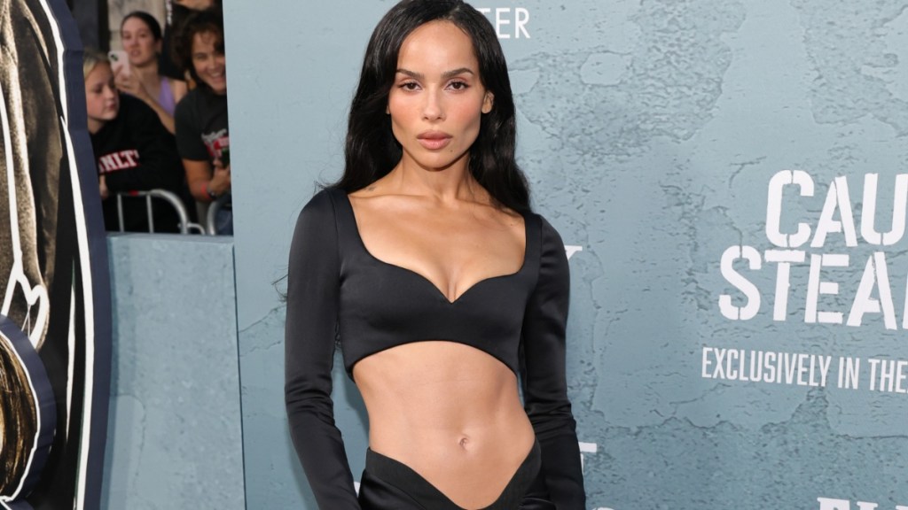 Zoë Kravitz Shows off Her Ripped Abs in V-Cut Skirt