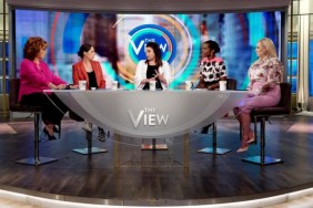 When The View Season 29 Premieres on ABC Revealed