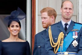 Senior Royals' Distrust in Meghan Markle Preventing Harry & Prince William's Reunion, Says Expert