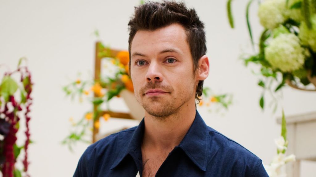 Zoe Kravitz & Harry Styles’s Relationship Status Questioned Online After Rome Video Goes Viral