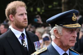 King Charles Lists Changes Prince Harry Must Make in His Life for Royal Reunion, Says Source