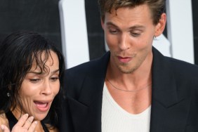 Austin Butler Turns Into a Protector for Zoe Kravitz During Bee Attack