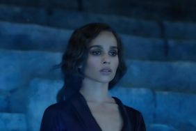 Zoë Kravitz Reveals How She ‘Accidentally Dosed Several People’ With Hallucinogens