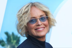 sharon stone underwear