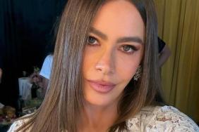 Sofia Vergara's Keyhole Cutout Dress Has Fans Questioning: 'Did You Zoom?'