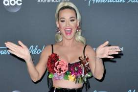 Katy Perry’s Floral Corset Dress Is a Summer Dream in Argentina Photos