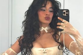 Fans React to Camila Cabello Baring All in Daring Corset & Mini-Skirt