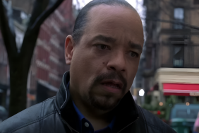 Law & Order: SVU Star on Whether Benson & Stabler Will Get Together