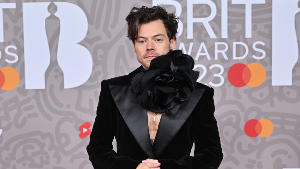 Harry Styles Mastered the Art of Living a Double Life Using Disguises, Source Claims