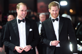 Prince Harry & Prince William’s Personalities Were Very Different Growing Up, Former Royal Staffer Claims