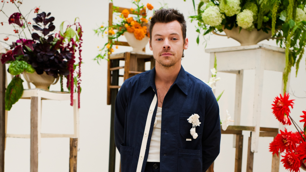 Harry Styles Making Major Changes in His Life to Date Zoe Kravitz, Says Source