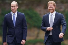 Prince Harry's UK Welcome Dampened by Prince William, Says Source