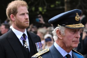 prince harry king charles