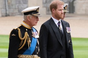 king charles prince harry