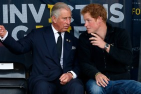 prince harry king charles