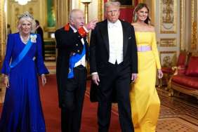 Melania Trump's 'Distracting' State Banquet Dress Isn't One of Her Best Looks, Says Stylist