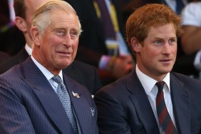 prince harry king charles