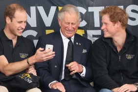 prince william prince harry king charles