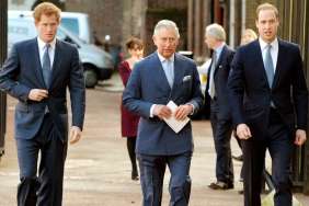 Prince Harry & King Charles' Meeting Might Impact Monarchy's Future, Say Sources