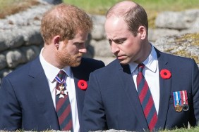 prince harry prince william