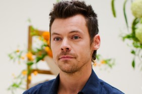 Harry Styles’ Berlin Marathon Time Wows as He Gets Sub-3 as ‘Sted Sarandos'