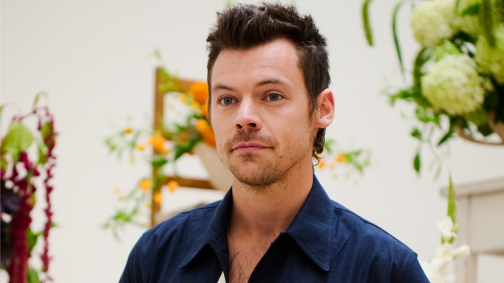 Harry Styles Wore These $295 Shoes To Run Sub-3 Marathon