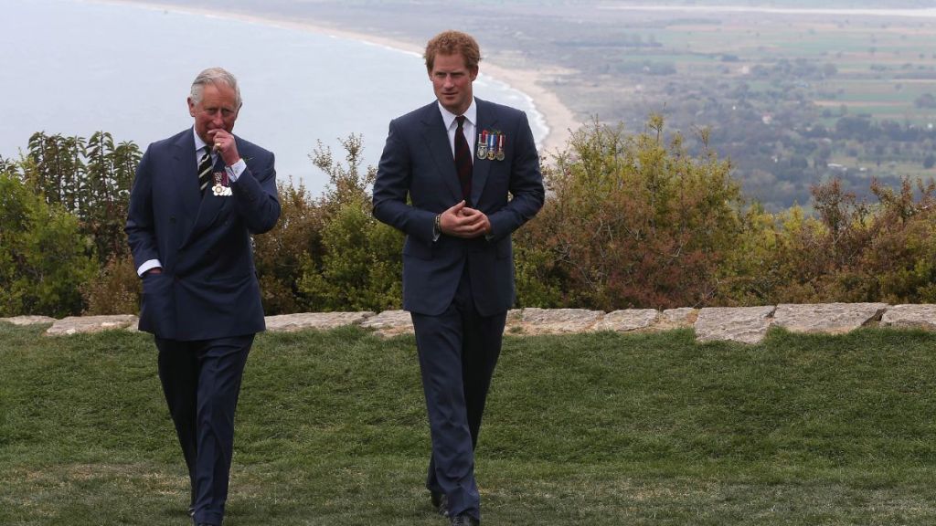 Prince Harry Mocked Online After Sharing Update About King Charles Meeting
