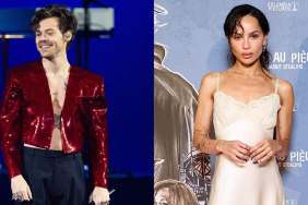 Harry Styles & Zoe Kravitz’s Romance Is More Than Just a Fling, Source Claims