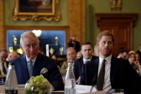 Prince Harry’s Working Royal Status Not Possible as He Attracts ‘Controversial Publicity,’ Expert Claims