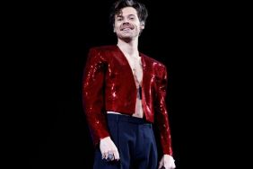 Harry Styles Only Romancing Zoe Kravitz To 'Keep Him in Headlines,' Insider Claims