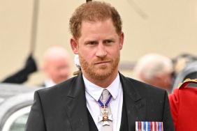 Prince Harry Is Well-Placed to Become a Part-Time Royal, Says Expert