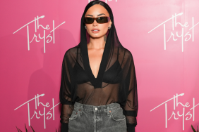 Demi Lovato's New Photo Is All About a Naked Dress