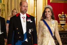 Kate Middleton's Silk Gown Highlights Her Striking Beauty in State Banquet Photo
