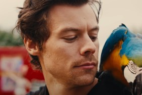 harry styles secret life sir dick