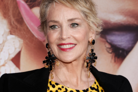 Sharon Stone animal print